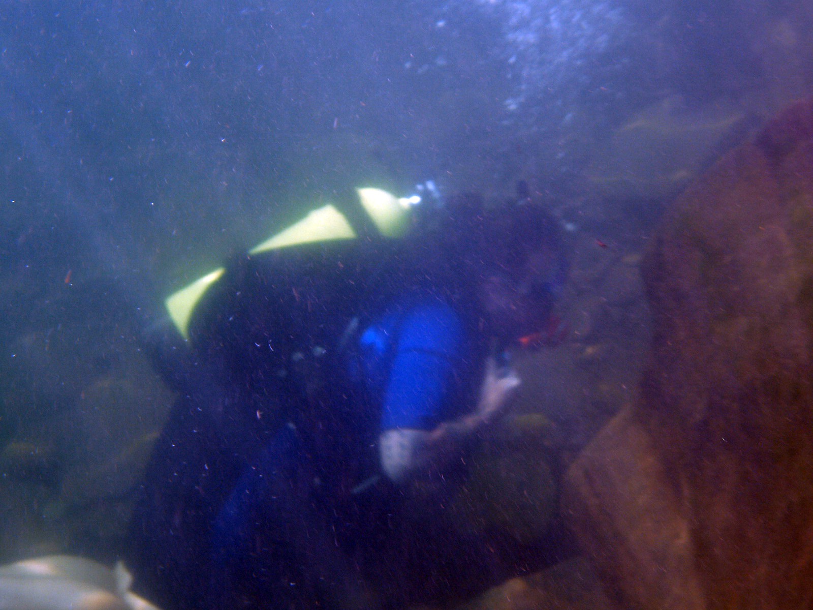 Diving in PA