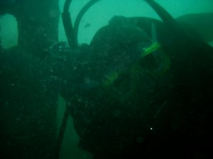 UWCSI Check Out Dive