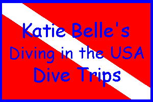 Katie Belles Dive Trips