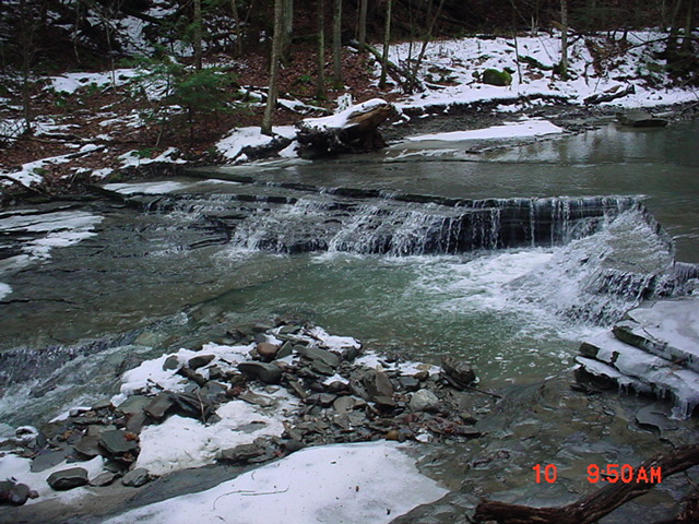 Finger Lakes Stream
